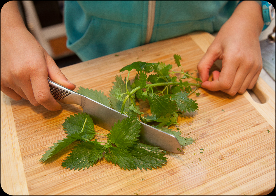 Cut stinging nettle leaves off the plant by holding only the very tip pf the stalk. Or you can use tongs, or if you don't want that fresh green look, after washing the nettles, simply place the whole plant in boiling water until it is well cooked and then you can puree before adding to risotto. 