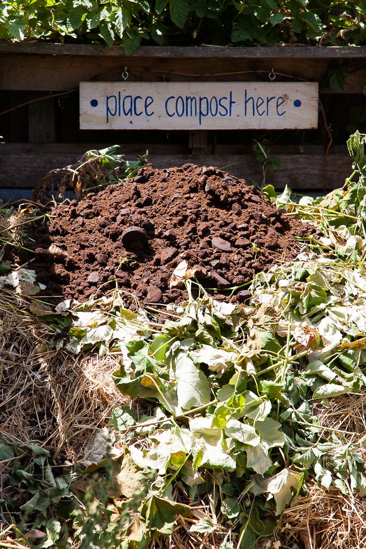 A well cared for compost heap, with lots of coffe grounds. 
