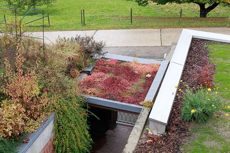 A small roof above a walkway is also planted out.