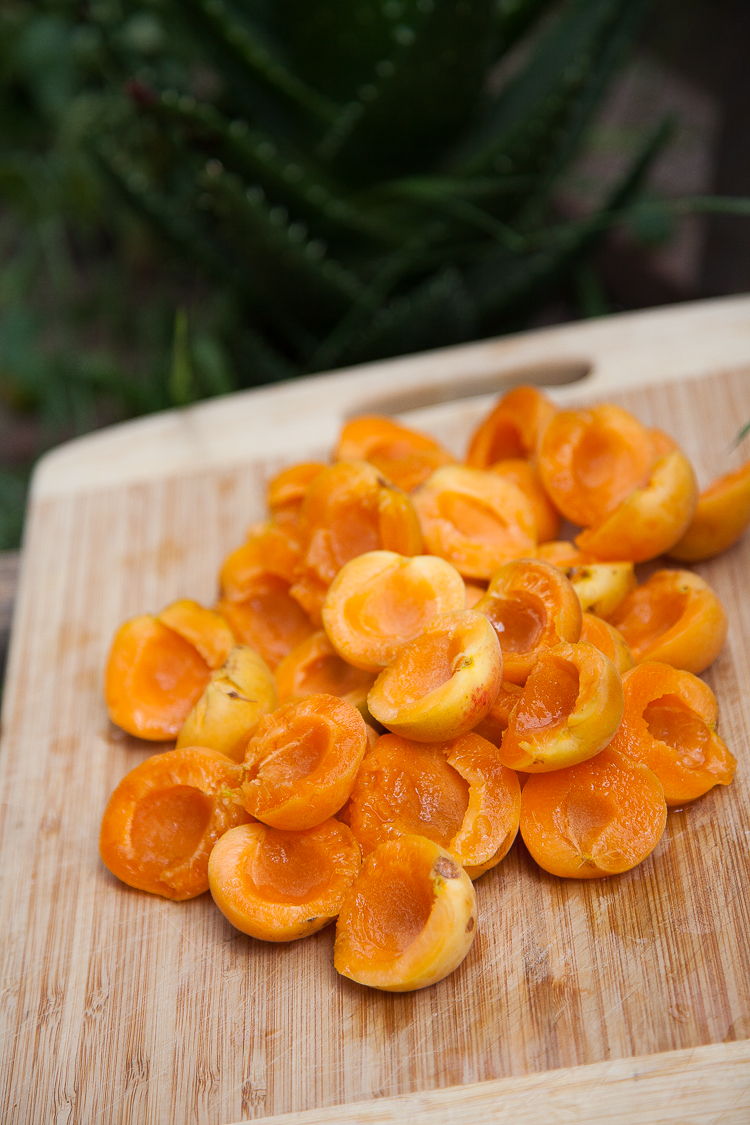 Apricots from our north facing apricot tree. These were simply poached and used with porridge. 