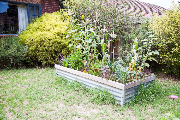 At this home a raised vegetable garden bed has been installed. 