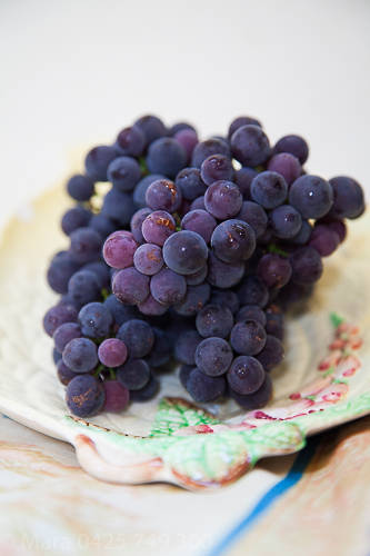 Grape harvest: February - April 2015. 
