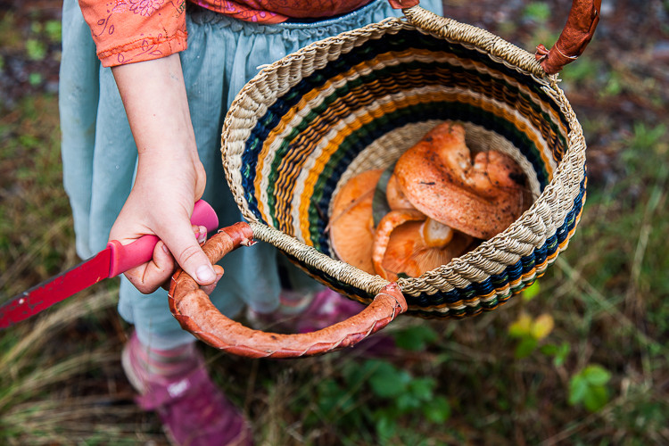 Gorgeous basket with pine mushrooms. 