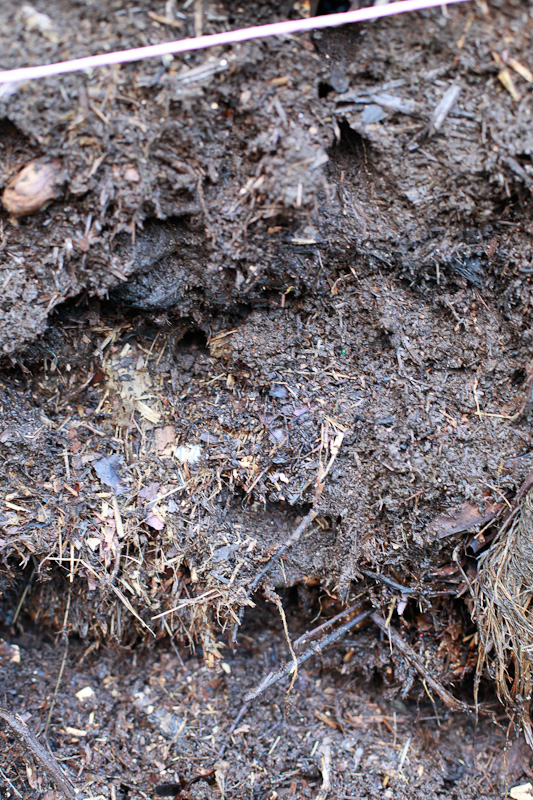 Compost improves soil structure. 
