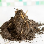 Soil story